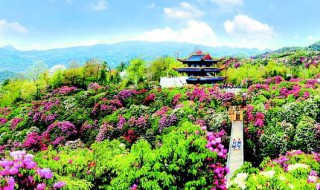 毕节市旅游景点有哪些（毕节市旅游景点有哪些景点）