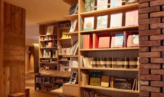 新唐遗玉讲的什么（新唐遗玉讲什么的）