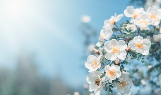 晴天的歌词 晴天的歌词图片