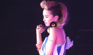 蔡依林美人计歌词（蔡依林美人计歌词什么意思）