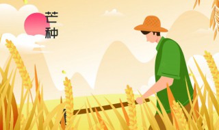 芒种节气朋友圈文案（芒种节气文案怎么发朋友圈说说）