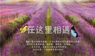 520送给老公的生日祝福语 2021送给老公的生日祝福