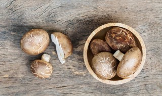 泡好的香菇怎么保存 泡好的香菇怎么保存不变质