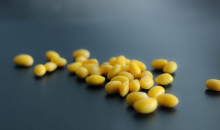 黄豆种植时间和技术 陕西黄豆种植时间和技术
