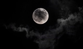 寄明月歌词（寄明月歌词完整版）