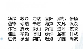 王姓男孩名字大全（王姓男孩名字大全好听）