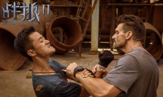 关于格斗的电影 关于格斗的电影推荐,苏木和马虎