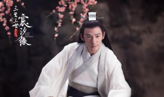 宸汐缘原著小说介绍 宸汐缘原著小说全集