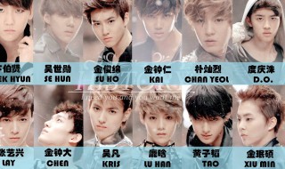 关于exo的网名（关于exo网名简短）