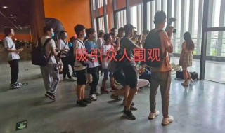 广州漫展事件2020 广州漫展事件12岁