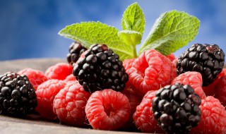 桑椹子的功效与作用及禁忌 桑椹子的功效与作用禁忌与副作用有哪些