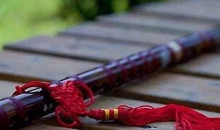 笛子独奏名曲介绍（笛子独奏名曲介绍词）