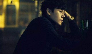 无证之罪小说介绍 无证之罪小说简介