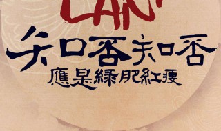 知否知否应是绿肥红瘦小说介绍 知否知否应是绿肥红瘦是那个小说