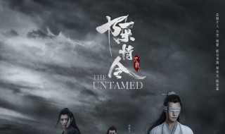 陈情令小说原著介绍（陈情令小说原著介绍大全）