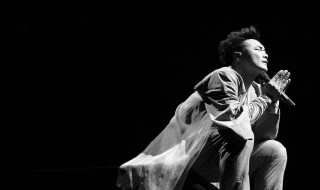 低等动物歌词 低等动物歌词国语