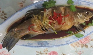 丁桂鱼的营养价值 丁桂鱼的营养价值与功效