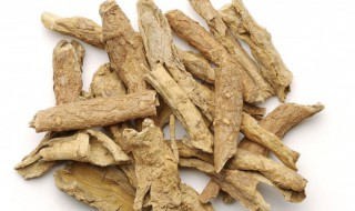 苍术的功效与作用及食用方法（白术的作用与功能主治）