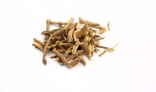 桑寄生的功效与作用及食用方法（桑寄生的作用和功效与作用）