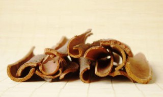 肉桂的功效与作用及食用方法（中药肉桂的作用与功效）