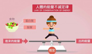 怎么提高基础代谢 怎么提高基础代谢率怎么变易瘦体质