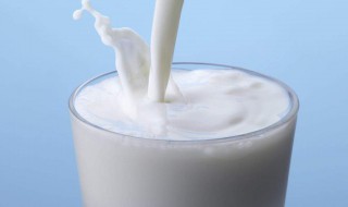 喝牛奶最佳时间 老年人喝牛奶最佳时间