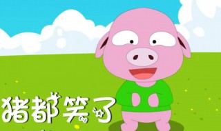 猪都笑了歌词（猪都笑了歌词歌名）