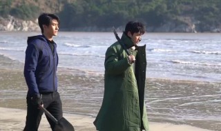 极海听雷结局（极海听雷结局到底是什么）