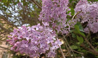 诗意昵称（诗意昵称四个字）