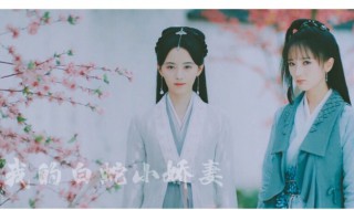 肖燕个人资料 肖燕个人资料简介(身高/生日/年龄