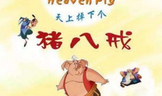 天上掉下个猪八戒歌词（天上掉下个猪八戒歌词大意）
