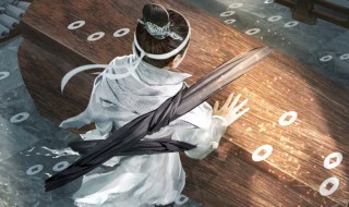 雪中悍刀行小说内容介绍（雪中悍刀行 小说介绍）