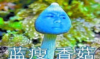 蓝瘦香菇出处（蓝瘦香菇出处是什么）