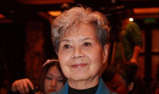 沈力个人资料简介 沈力个人资料简介