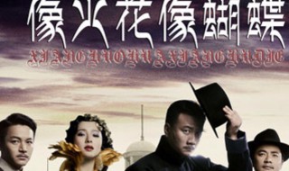 像火花像蝴蝶结局 像火花像蝴蝶结局分析