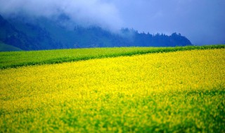 八月是什么季节（南半球八月是什么季节）