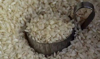 米冷冻后怎么保存 米冷冻之后还能吃吗
