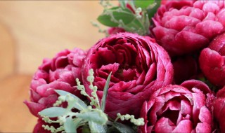 香玫瑰怎么养 玫瑰香种植全年管理