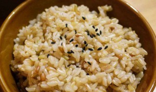 糙米饭怎么煮容易烂 糙米饭怎么才能煮熟