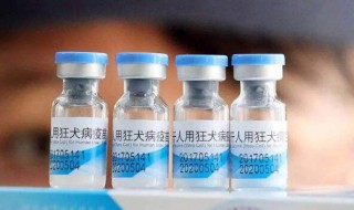 狂犬疫苗什么时候打 狂犬疫苗什么时候打最好