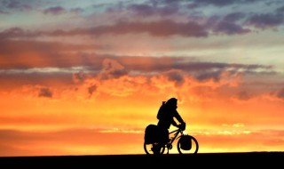 网络句子经典（网络句子经典霸气合集）