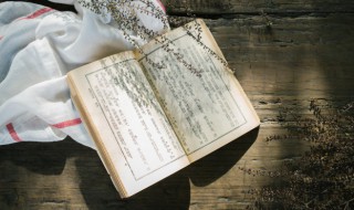 罗生门经典句子 罗生门经典句子语录在第几页啊