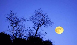 最经典的句子 周国平最经典的句子