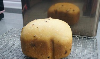 用面包机怎么做面包才松软好吃（用面包机怎么做面包才松软好吃窍门）