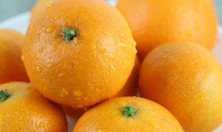 橘子的保存方法和技巧 橘子的保存方法和技巧图片