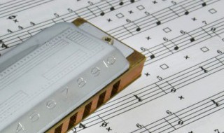 歌词你会不会爱我是什么歌（歌词你会不会爱我是什么歌曲）