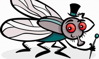 大蠊是什么虫 大蠊是什么虫的介绍