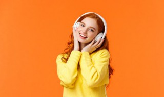 鹿be free歌词 鹿be free歌曲简介