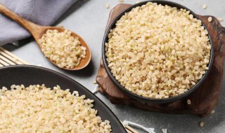 糙米怎么吃减肥最快 长期吃糙米能减肥吗