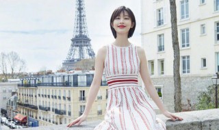 张俪个人资料简介（张俪个人资料简介图片 年龄）